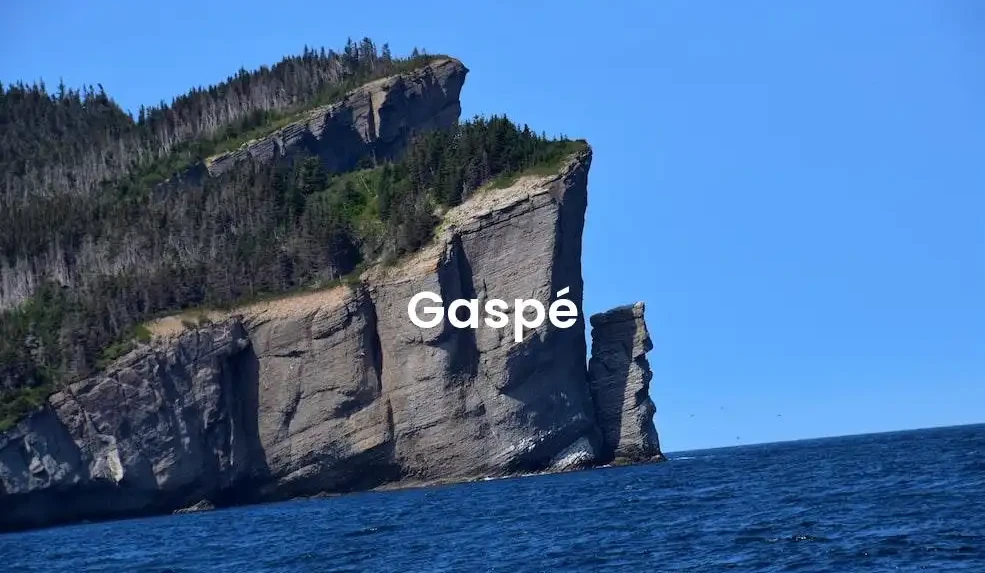 The best VRBO in Gaspé