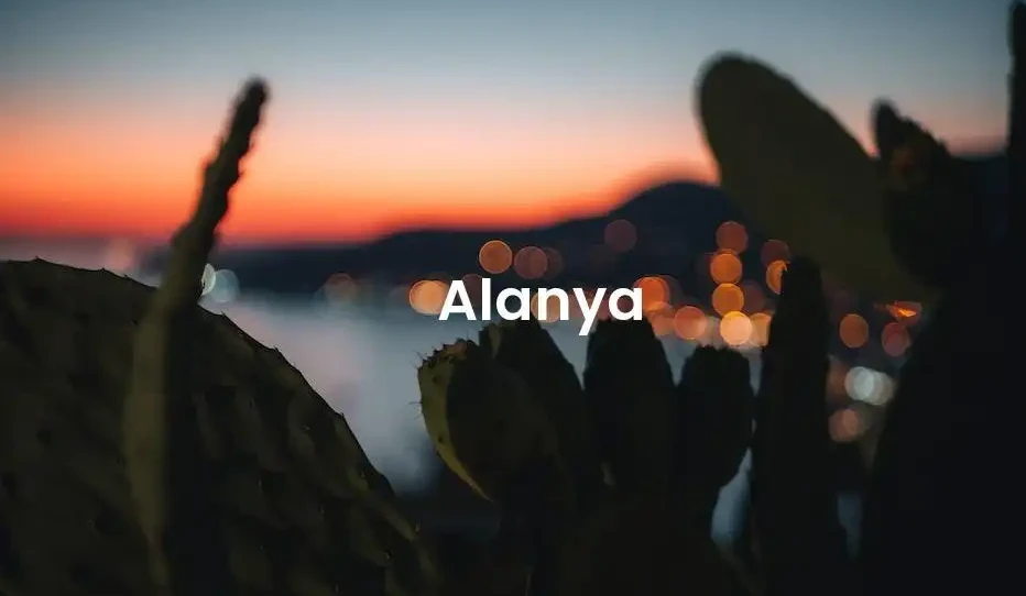 The best Airbnb in Alanya