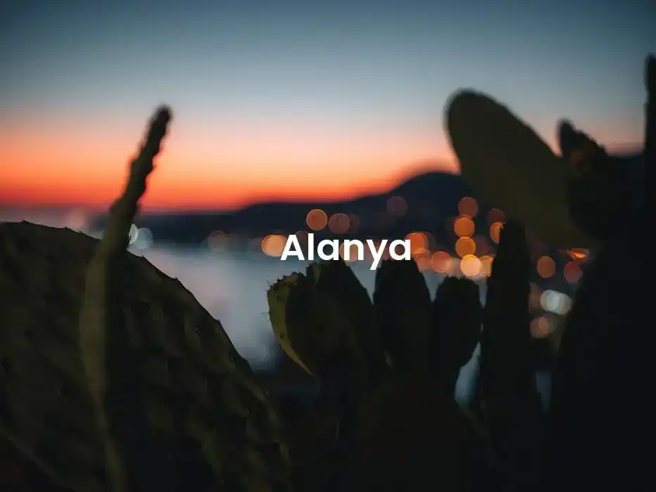 The best Airbnb in Alanya
