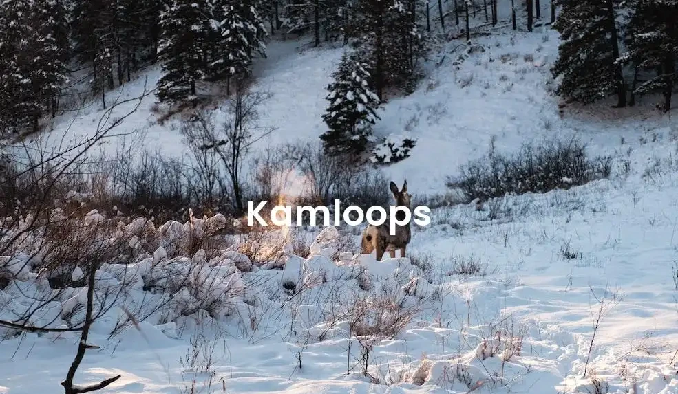 The best Airbnb in Kamloops