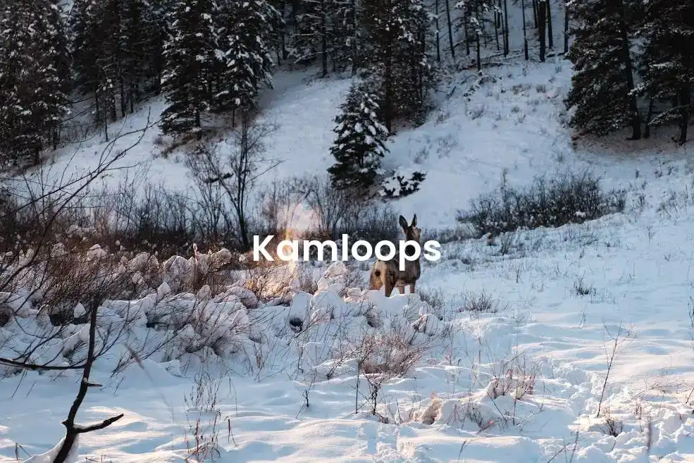 The best Airbnb in Kamloops