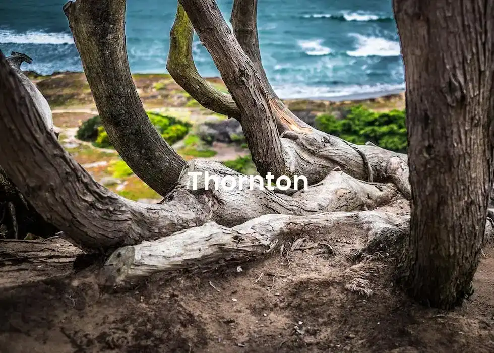 The best Airbnb in Torrance