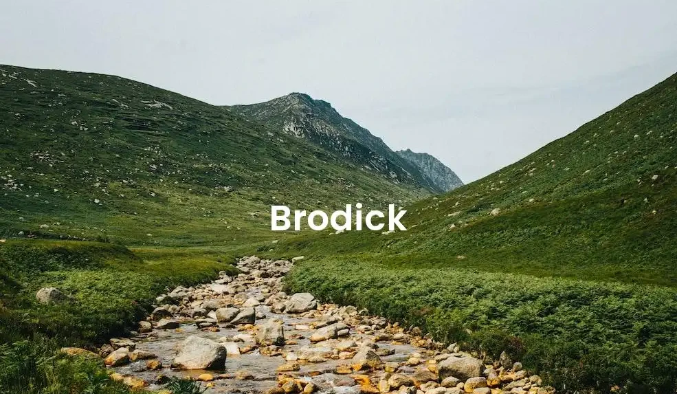 The best Airbnb in Brodick