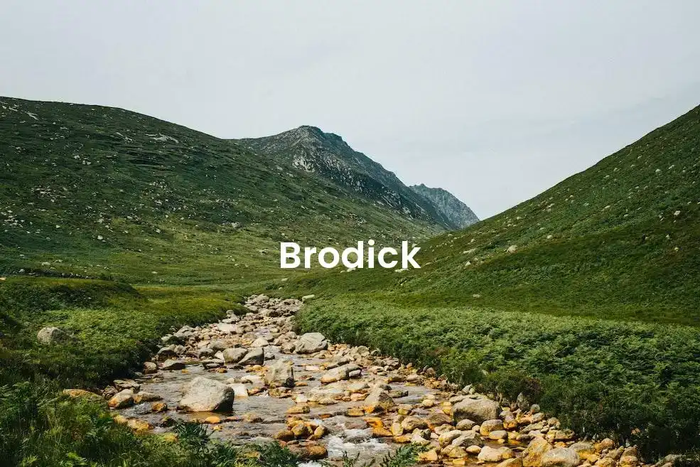 The best Airbnb in Brodick