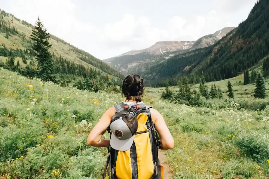 Maximizing Airbnb Income: A Host's Guide