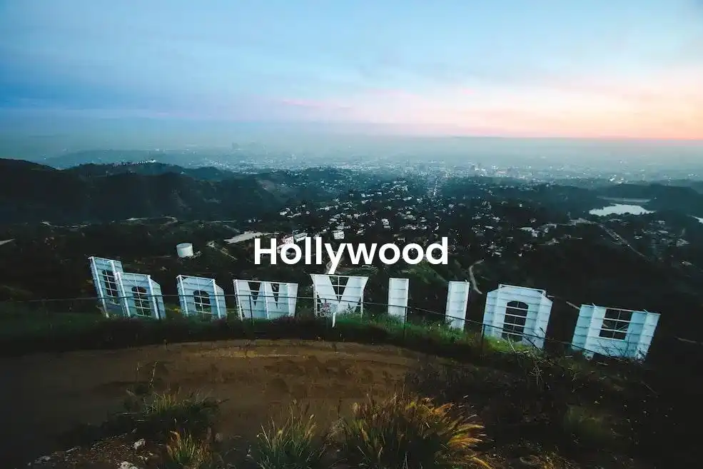 The best Airbnb in Hollywood