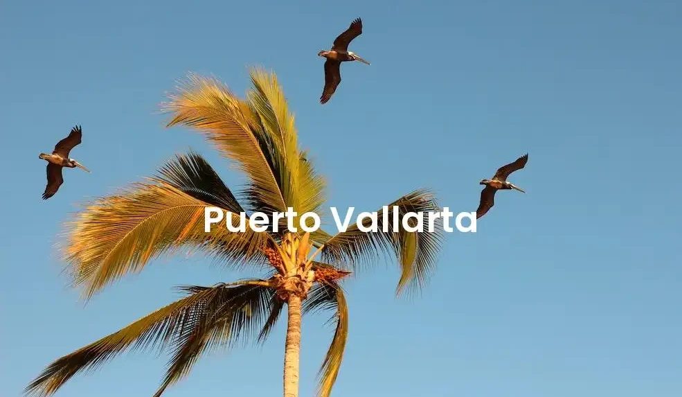 The best Airbnb in Puerto Vallarta