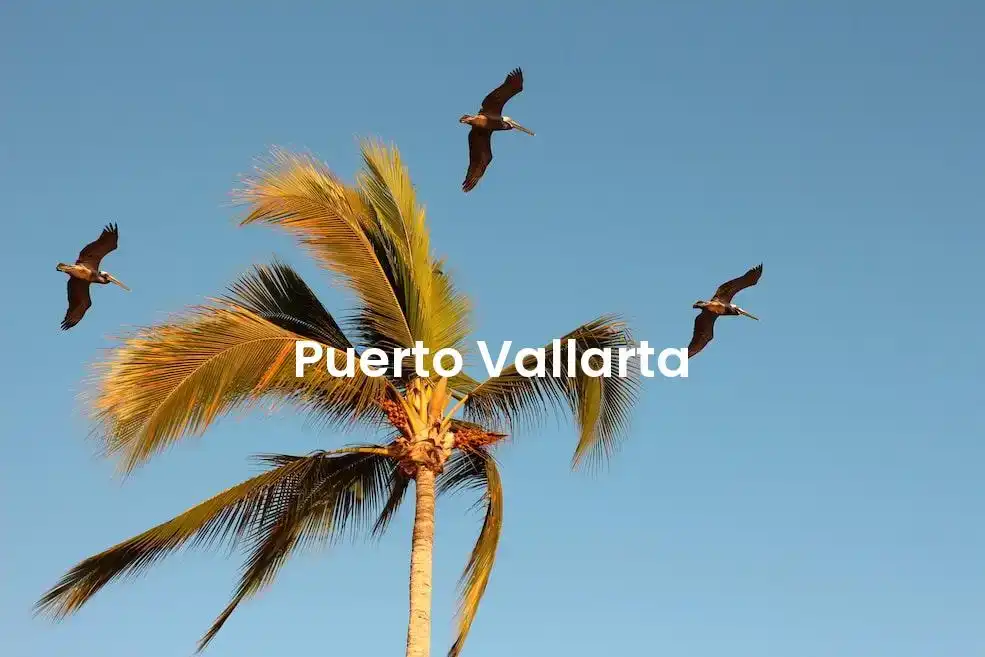 The best hotels in Puerto Vallarta