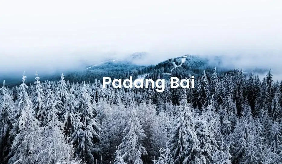 The best VRBO in Padang Bai