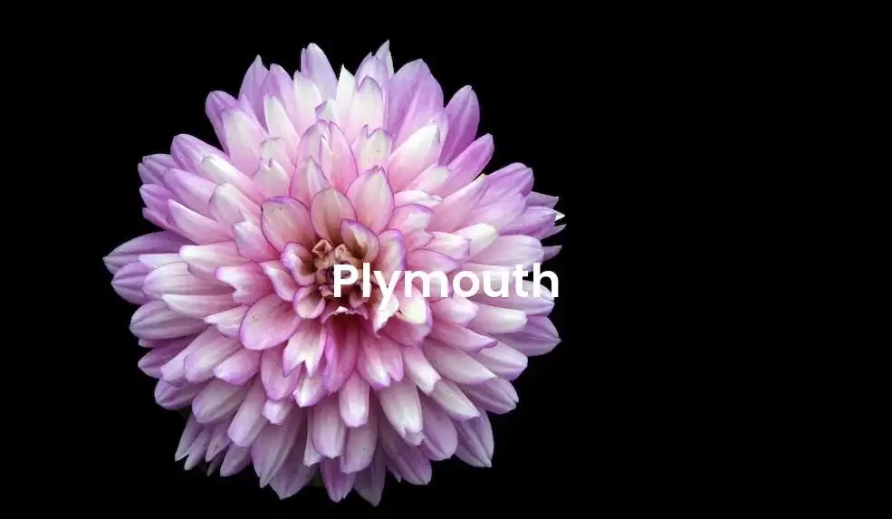 The best Airbnb in Plymouth