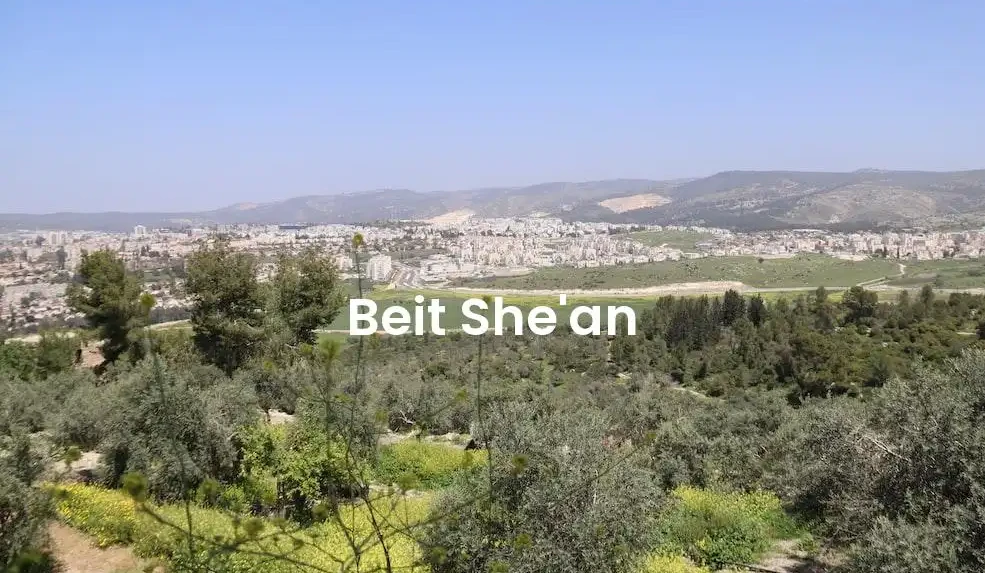 The best Airbnb in Beit She'An