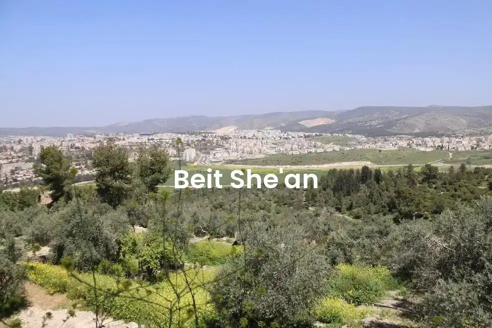 The best Airbnb in Beit She'An