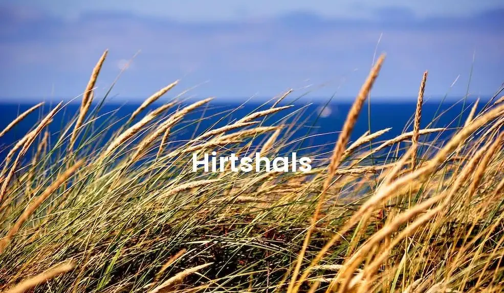 The best Airbnb in Hirtshals