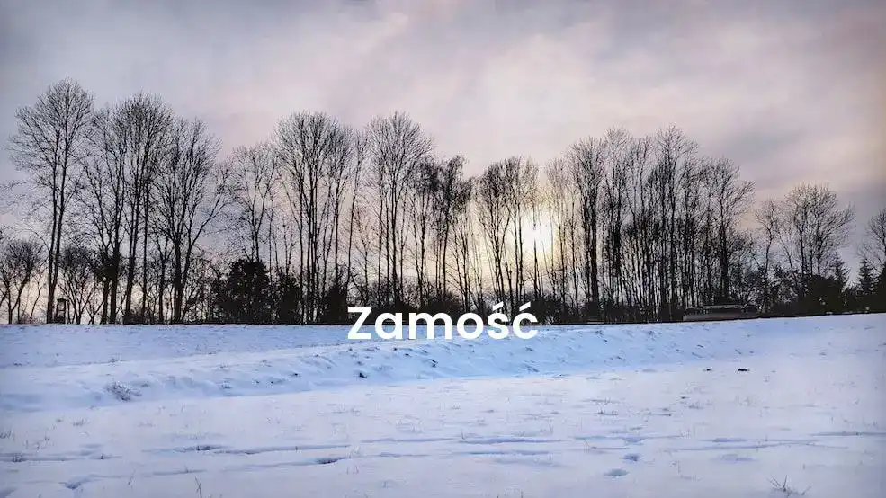 The best Airbnb in Zamość