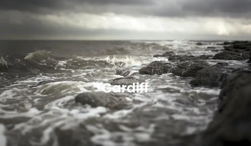 The best Airbnb in Cardiff